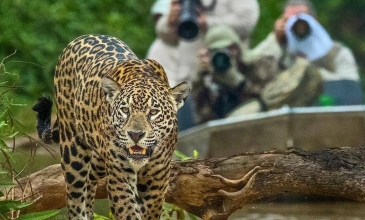 Fascinating Brazil in 12 Days