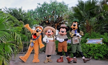 Walt Disney World Magic in 4 Days